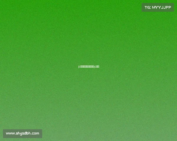 jc电子竞技成员—电竞jc战队